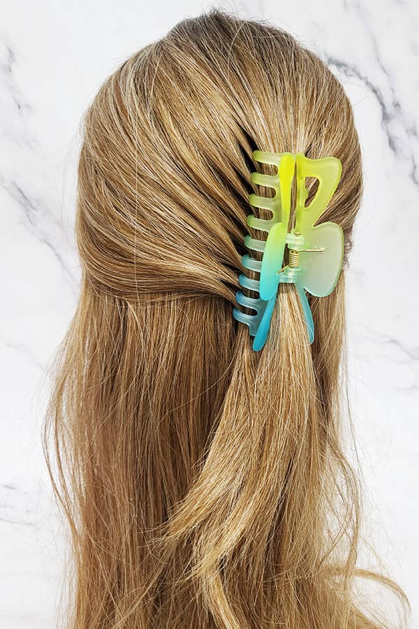 Translucent Hair Claw Clip