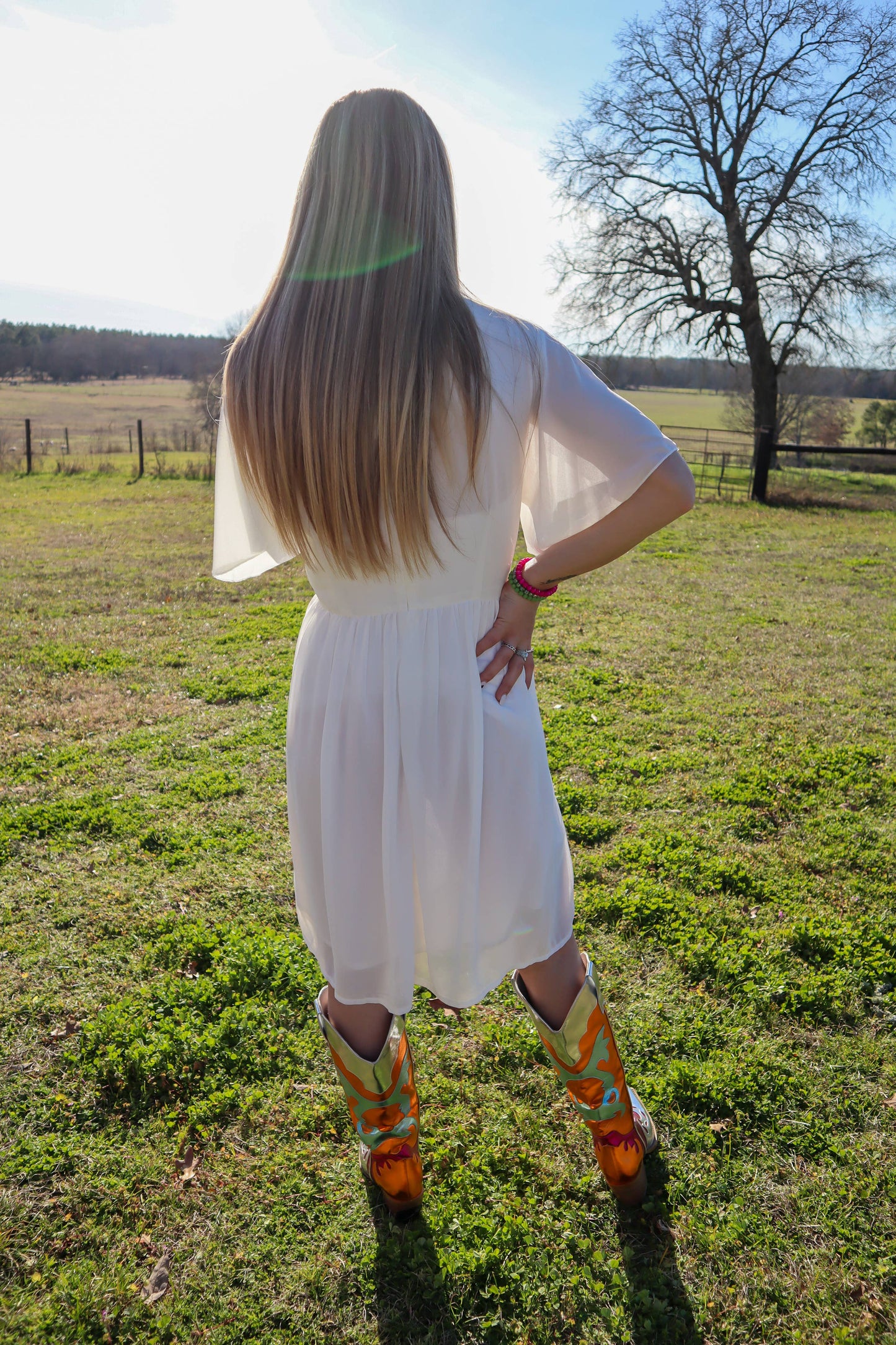 Embroidered Chiffon Midi Dress