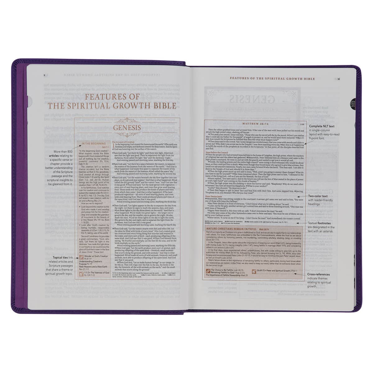 Purple Floral Spiritual Growth Bible New Living Translation