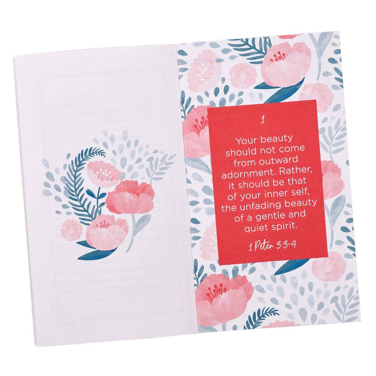Promises From God For Women Red and Blue Promise Book